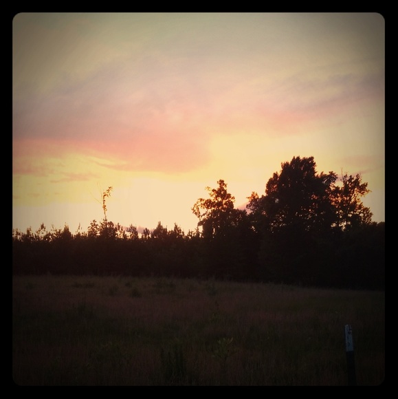 Meet your Posher, Dusty - Picture 1 of 1